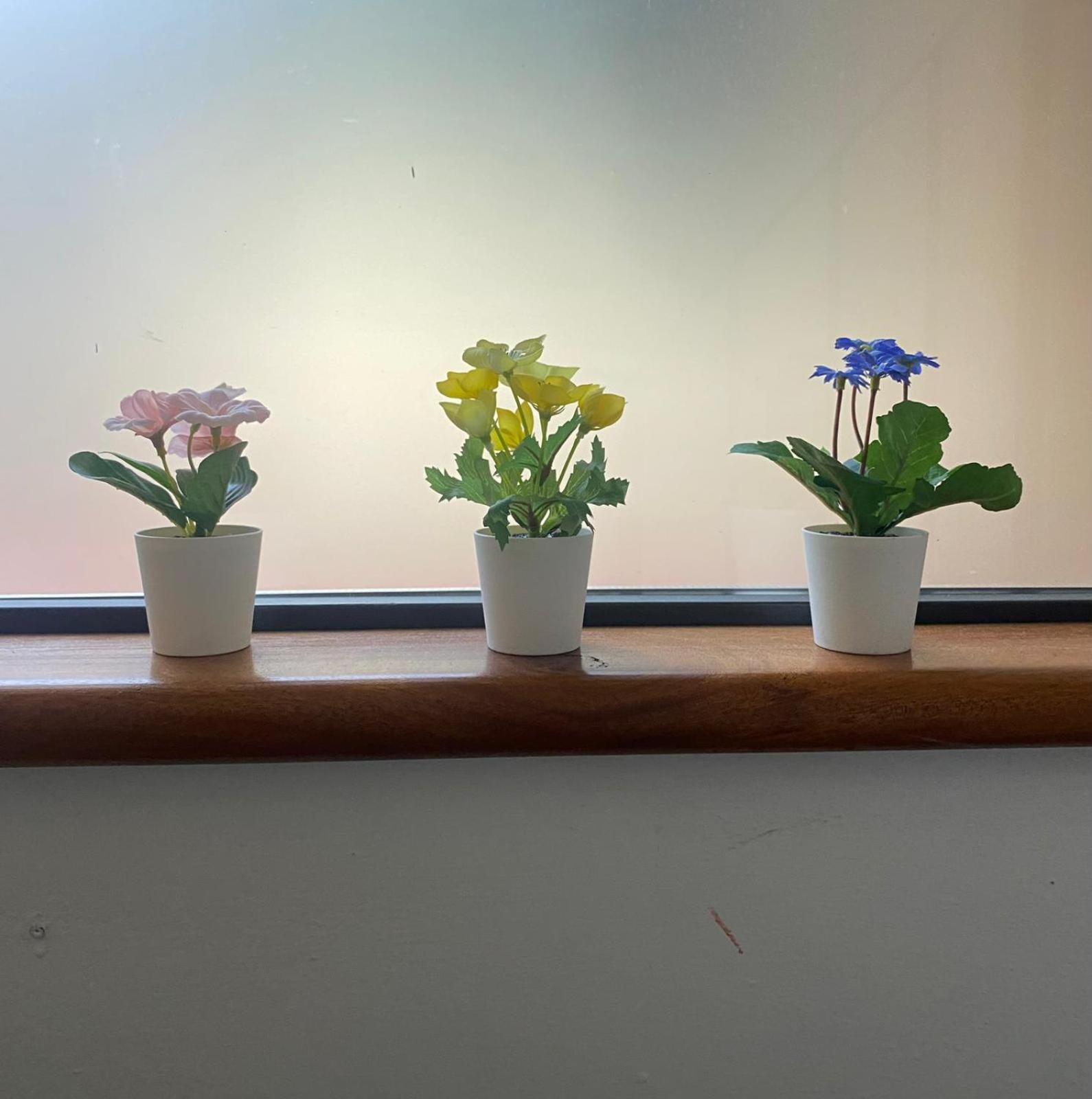 פירנצה Appartamento Indipendente Con Giardino Fralu מראה חיצוני תמונה